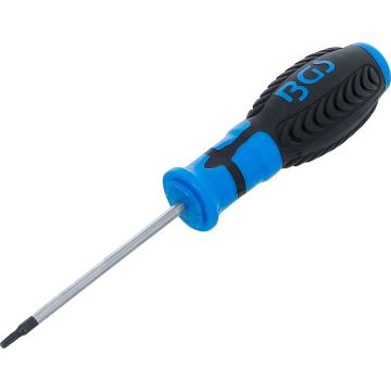 Skrūvgriezis Torx | T10 izmērs | 80 mm asmeņa garums